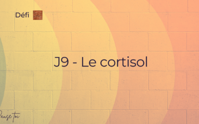 Défi briques – jour 9 – Le cortisol