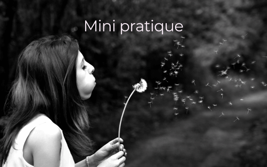 Mini pratique mensuelle pour se reconnecter à soi avec les huiles essentielles et un exercice guidé